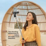P20S Wireless Mini Live Broadcast Selfie Stick
